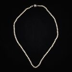 575547 Pearl necklace